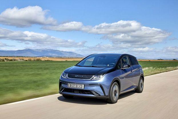 BYD ドルフィン 車検